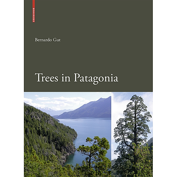 Trees in Patagonia, Bernardo Gut