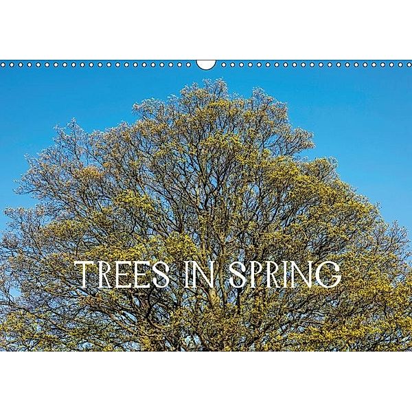 Trees in spring / UK-Version (Wall Calendar 2017 DIN A3 Landscape), Thomas Jäger