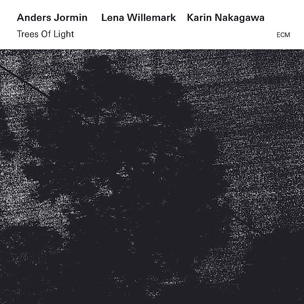 Trees Of Light, Anders Jormin, Lena Willemark, Karin Nakagawa