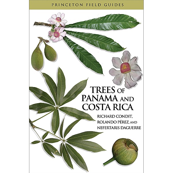 Trees of Panama and Costa Rica / Princeton Field Guides, Richard Condit