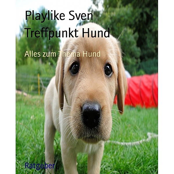 Treffpunkt Hund, PlayLike Sven