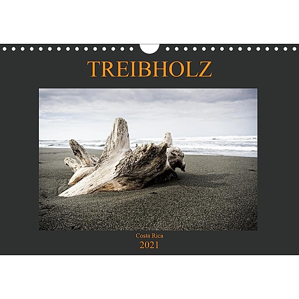 Treibholz Costa Rica (Wandkalender 2021 DIN A4 quer), Oliver Staack