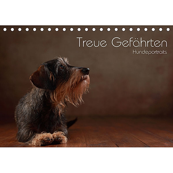 Treue Gefährten - Hundeportraits (Tischkalender 2020 DIN A5 quer), Jana Behr