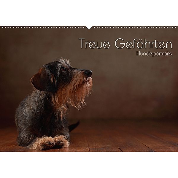 Treue Gefährten - Hundeportraits (Wandkalender 2018 DIN A2 quer) Dieser erfolgreiche Kalender wurde dieses Jahr mit glei, Jana Behr