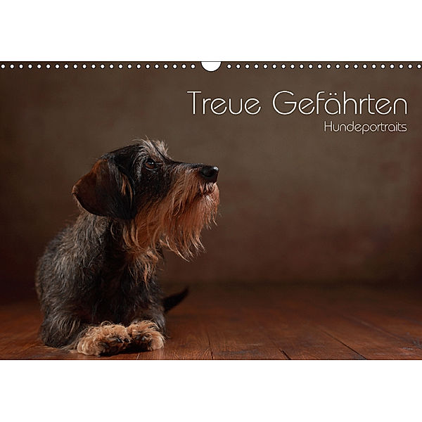 Treue Gefährten - Hundeportraits (Wandkalender 2019 DIN A3 quer), Jana Behr