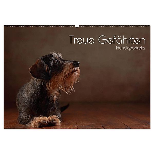 Treue Gefährten - Hundeportraits (Wandkalender 2024 DIN A2 quer), CALVENDO Monatskalender, Jana Behr