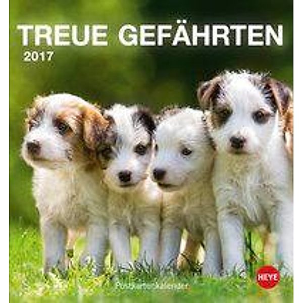 Treue Gefährten, Postkartenkalender 2017