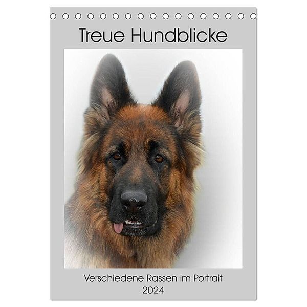 Treue Hundeblicke (Tischkalender 2024 DIN A5 hoch), CALVENDO Monatskalender, Claudia Kleemann