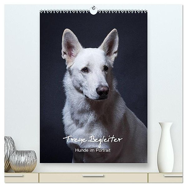 Treue Wegbegleiter, Hunde im Portrait. (hochwertiger Premium Wandkalender 2024 DIN A2 hoch), Kunstdruck in Hochglanz, Susanne Stark