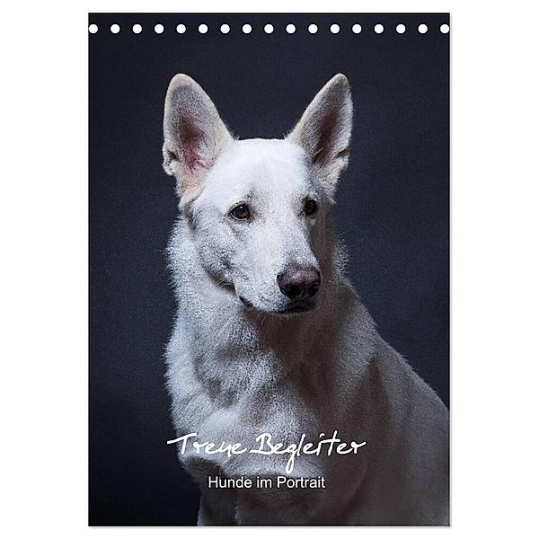 Treue Wegbegleiter, Hunde im Portrait. (Tischkalender 2024 DIN A5 hoch), CALVENDO Monatskalender, Susanne Stark