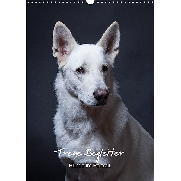 Treue Wegbegleiter, Hunde im Portrait. (Wandkalender 2019 DIN A3 hoch), Susanne Stark