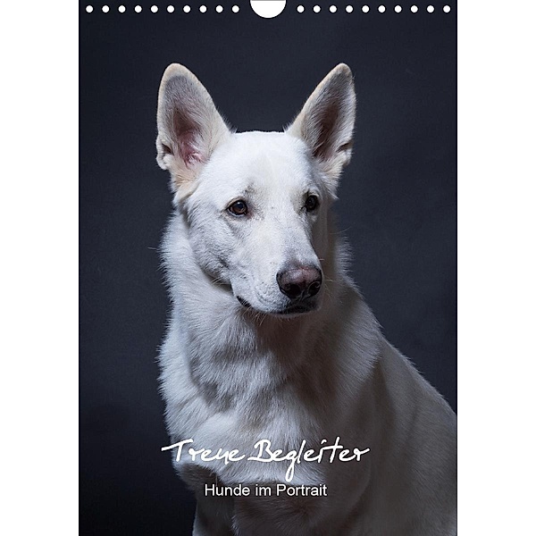 Treue Wegbegleiter, Hunde im Portrait. (Wandkalender 2021 DIN A4 hoch), Susanne Stark