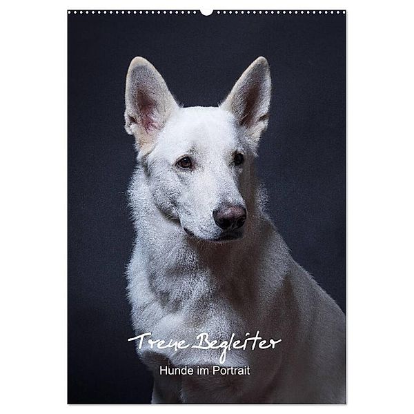Treue Wegbegleiter, Hunde im Portrait. (Wandkalender 2024 DIN A2 hoch), CALVENDO Monatskalender, Susanne Stark