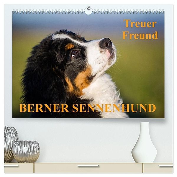 Treuer Freund Berner Sennenhund (hochwertiger Premium Wandkalender 2024 DIN A2 quer), Kunstdruck in Hochglanz, Sigrid Starick