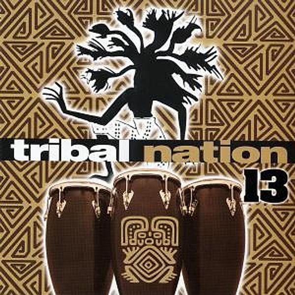 Tribal Nation Vol.13, Diverse Interpreten