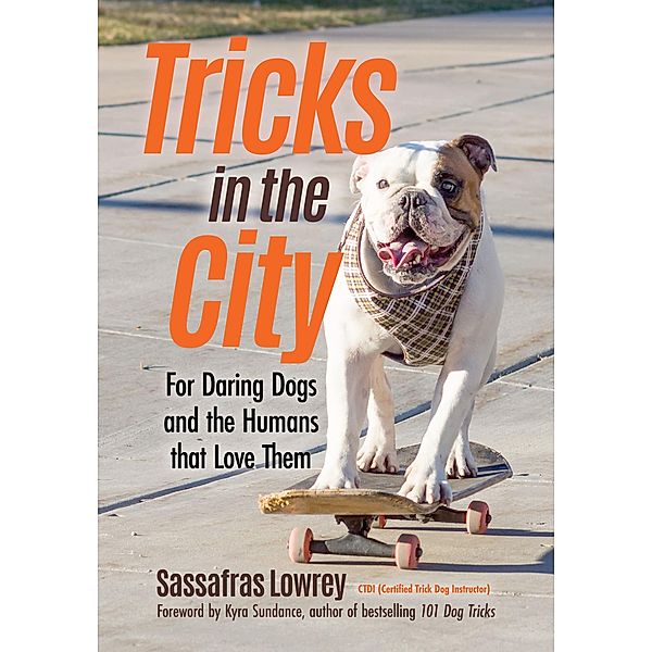 Tricks in the City, Sassafras Lowrey
