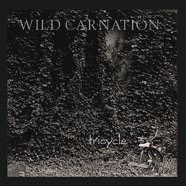 TRICYCLE, Wild Carnation