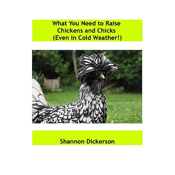 Tried and True Items to Raise Chickens and Chicks (Even in Cold Weather!), Shannon Dickerson