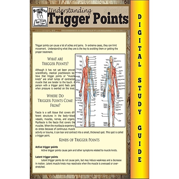 Trigger Points (Blokehead Easy Study Guide) / The Blokehead Success Series, Scott Green
