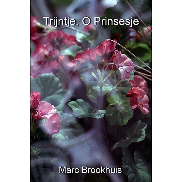 Trijntje, O Prinsesje (De avonturen van Trijntje, #1) / De avonturen van Trijntje, Marc Brookhuis