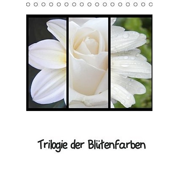 Trilogie der Blütenfarben (Tischkalender 2020 DIN A5 hoch), Martina Busch