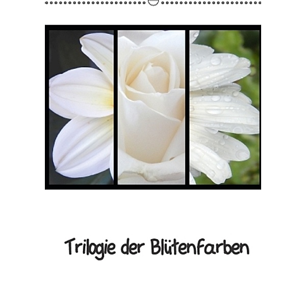 Trilogie der Blütenfarben (Wandkalender 2016 DIN A2 hoch), Martina Busch