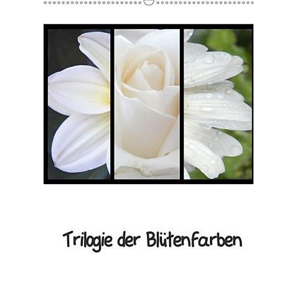 Trilogie der Blütenfarben (Wandkalender 2020 DIN A2 hoch), Martina Busch