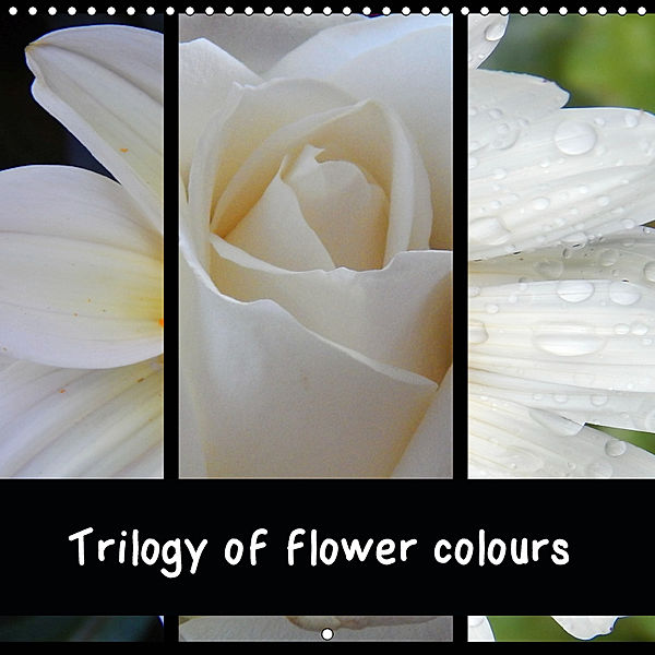 Trilogy of flower colours (Wall Calendar 2019 300 × 300 mm Square), Martina Busch