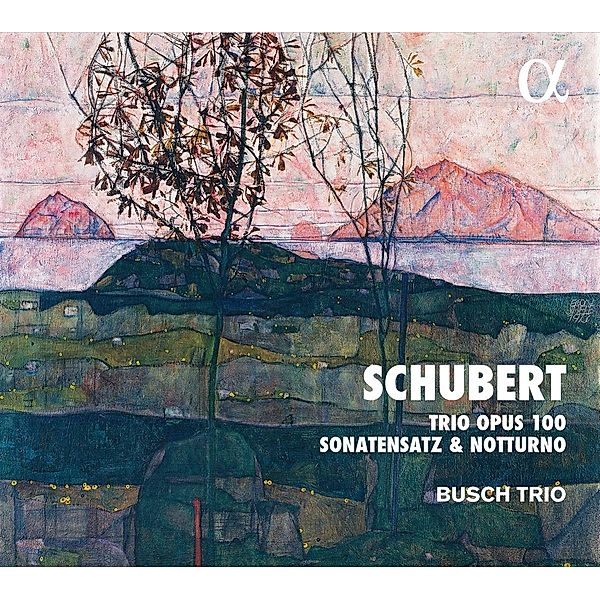 Trio Opus 100/Sonatensatz/Notturno, Busch Trio