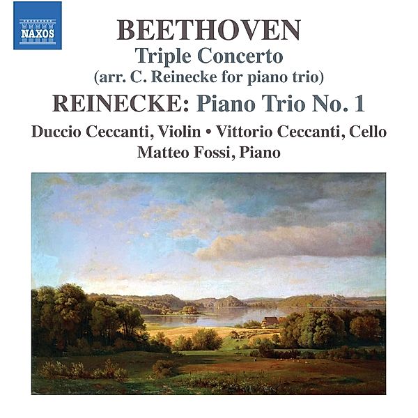Tripelkonzert/Klaviertrio Nr.1, Duccio Ceccanti, Vittorio Ceccanti, Matteo Fossi