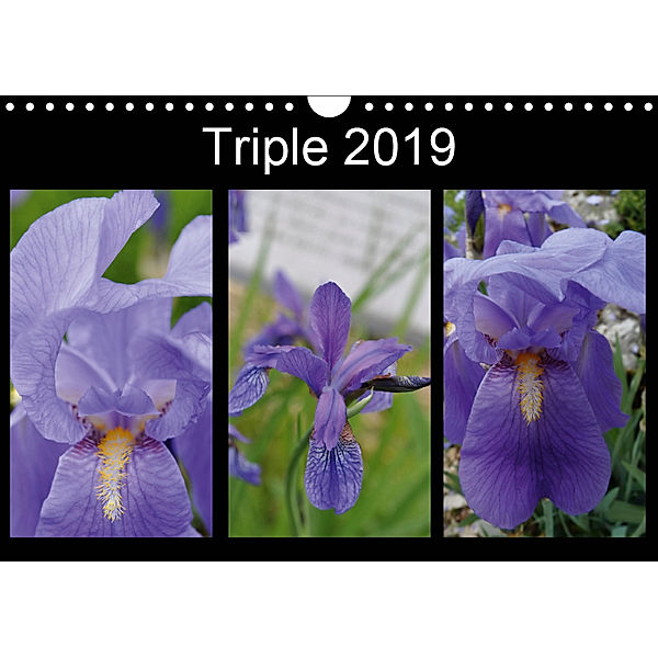 Triple 2019 (Wall Calendar 2019 DIN A4 Landscape), Ingrid Franz