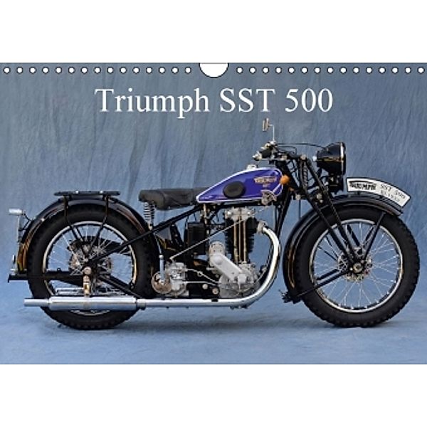 Triumph SST 500 (Wandkalender 2016 DIN A4 quer), Ingo Laue