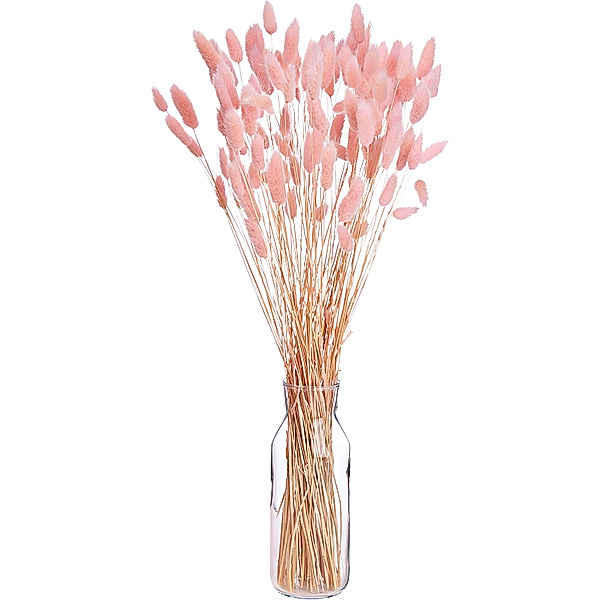 Trockenblumen-Bund Lagurus ca. 55 cm (Farbe: hellrosa)