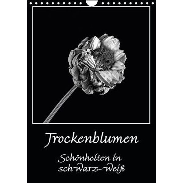 Trockenblumen Schönheiten in schwarz-weiß (Wandkalender 2016 DIN A4 hoch), Angelika Beuck