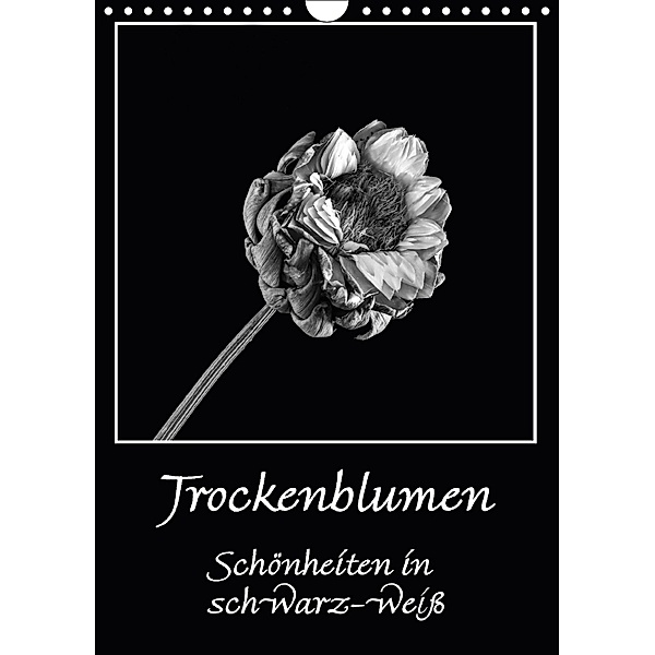 Trockenblumen Schönheiten in schwarz-weiß (Wandkalender 2018 DIN A4 hoch), Angelika Beuck