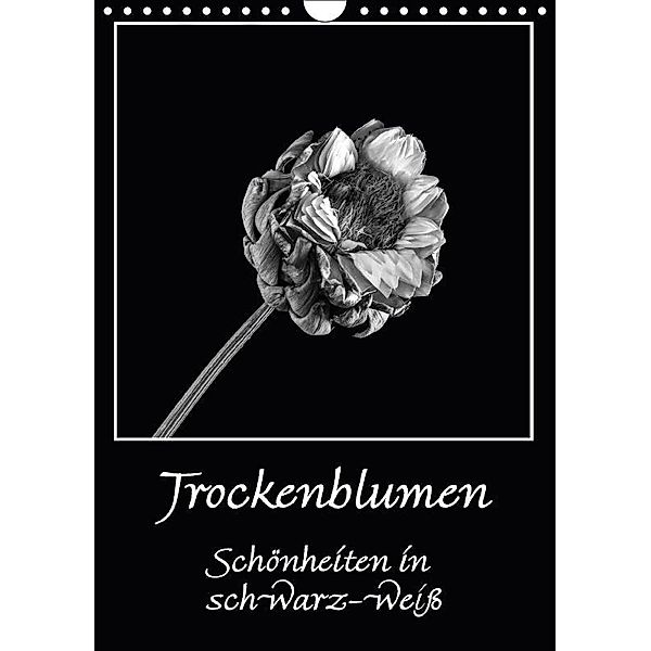 Trockenblumen Schönheiten in schwarz-weiß (Wandkalender 2017 DIN A4 hoch), Angelika Beuck