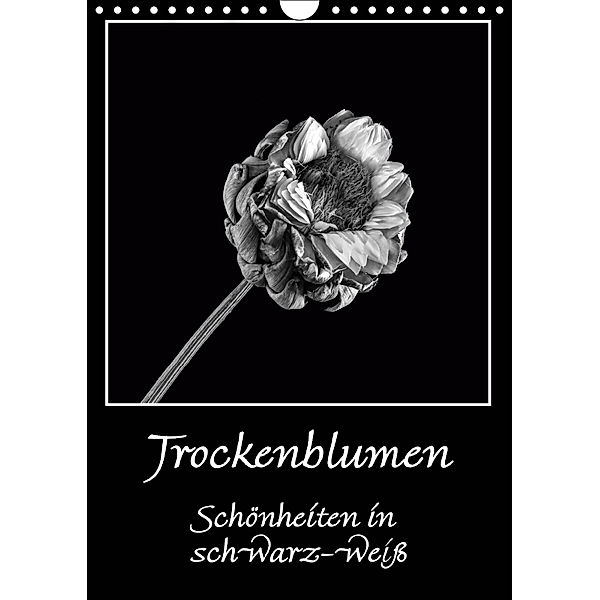 Trockenblumen Schönheiten in schwarz-weiß (Wandkalender 2019 DIN A4 hoch), Angelika Beuck