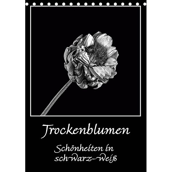 Trockenblumen Schönheiten in schwarz-weiß (Tischkalender 2020 DIN A5 hoch), Angelika Beuck