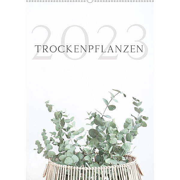 Trockenpflanzen (Wandkalender 2023 DIN A2 hoch), Maria Iliev