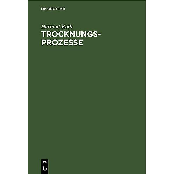 Trocknungsprozesse, Hartmut Roth