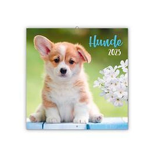 Trötsch Broschürenkalender Hunde 2023