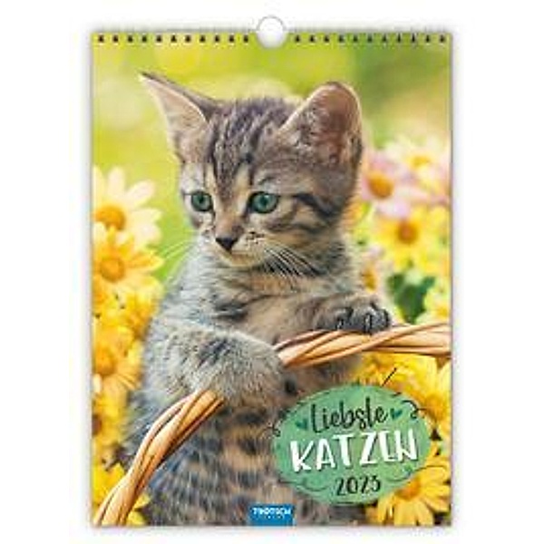 Trötsch Classickalender Liebste Katzen 2023