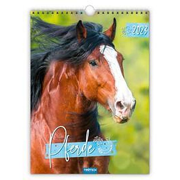 Trötsch Classickalender Pferde 2023