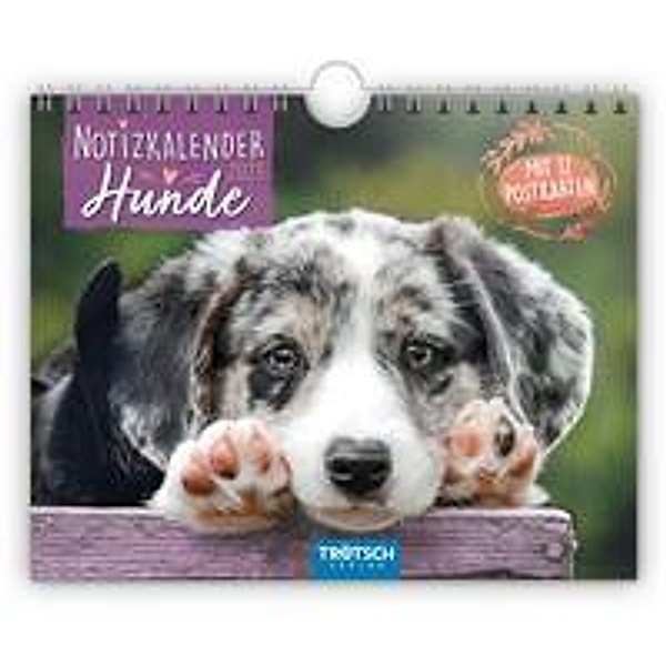 Trötsch Notizkalender Querformat Notizkalender Hunde 2023