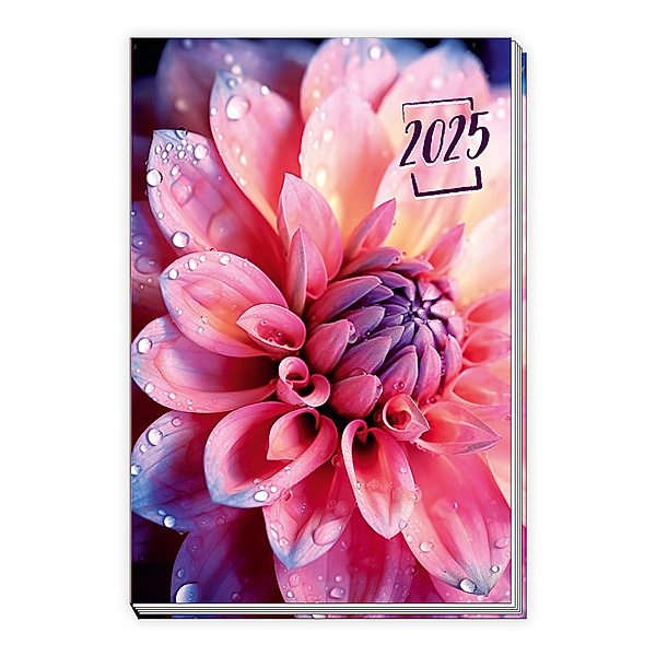 Trötsch Taschenkalender A6 Flowers 2025