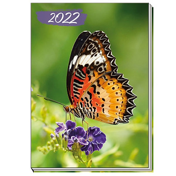 Trötsch Taschenkalender A7 Schmetterling 2022