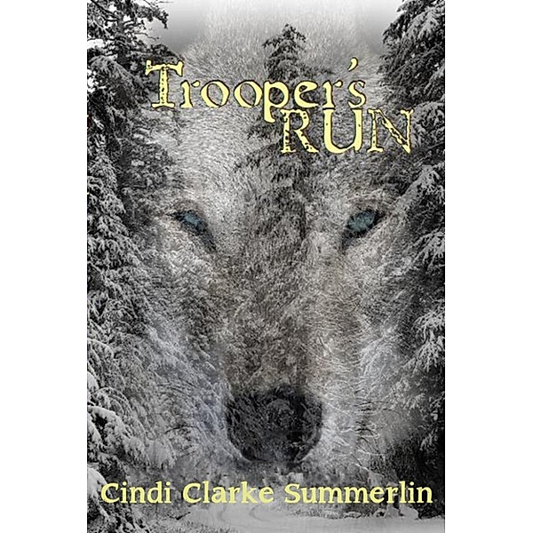 Trooper's Run, Cindi Clarke Summerlin