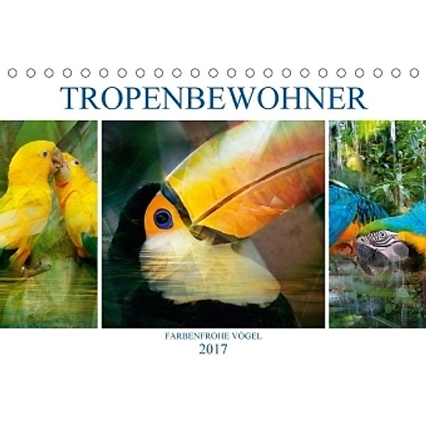 Tropenbewohner - farbenfrohe Vögel (Tischkalender 2017 DIN A5 quer), Liselotte Brunner-Klaus