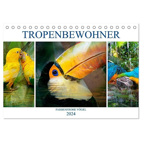 Tropenbewohner - farbenfrohe Vögel (Tischkalender 2024 DIN A5 quer), CALVENDO Monatskalender, Liselotte Brunner-Klaus