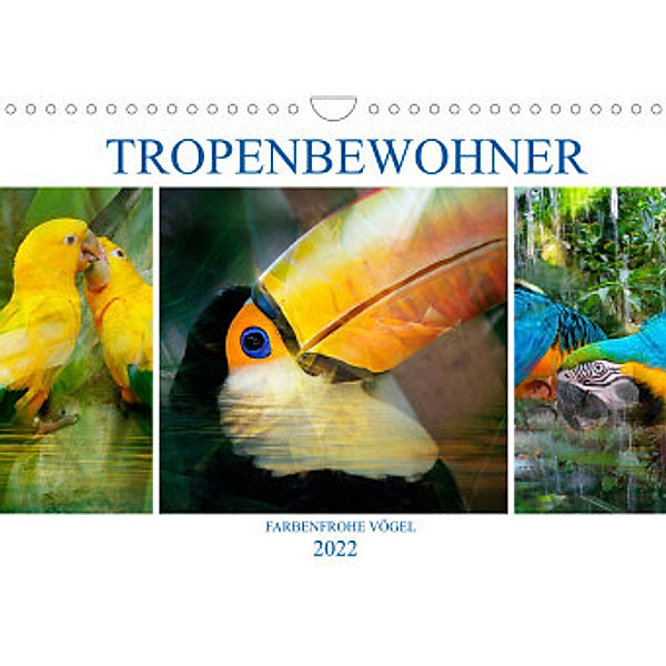 Tropenbewohner - farbenfrohe Vögel (Wandkalender 2022 DIN A4 quer), Liselotte Brunner-Klaus